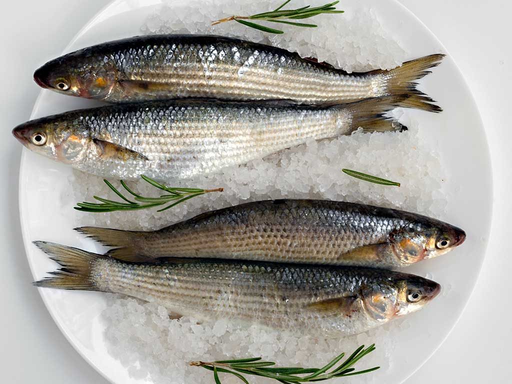 anchovas-produtos